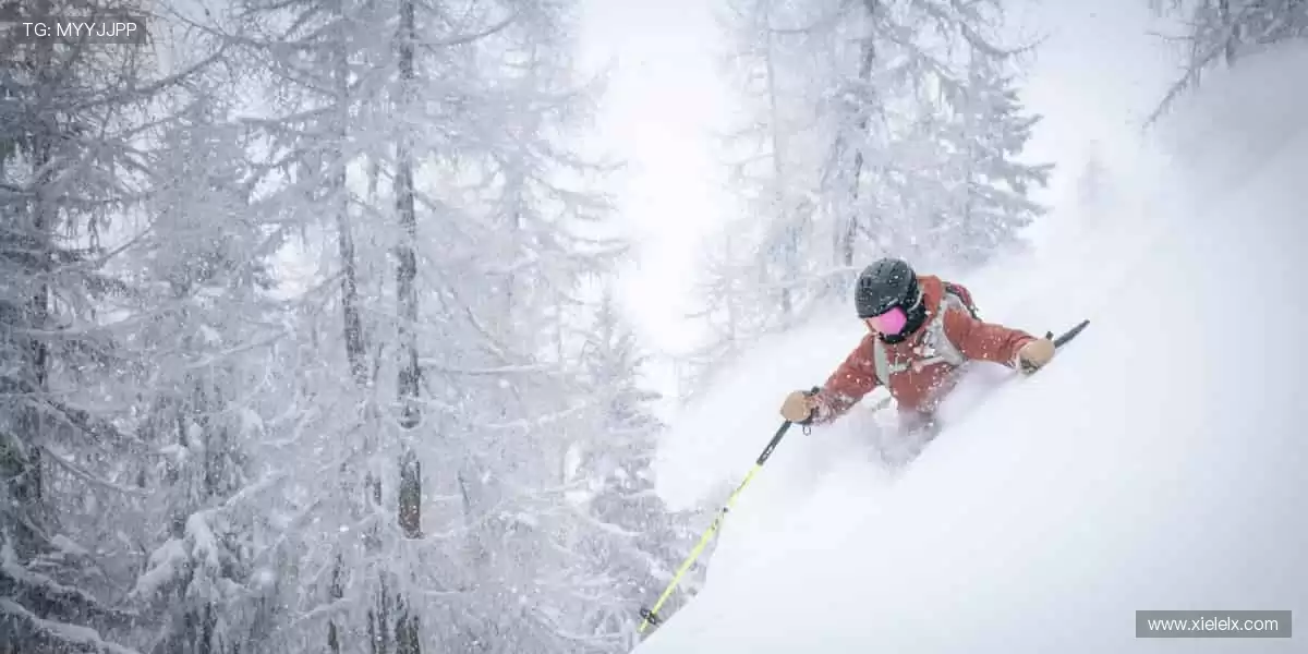 「万人呐喊,千场对决 —— 顶级赛事尽在指尖掌控!⚽立即购票,抢占黄金席位!」